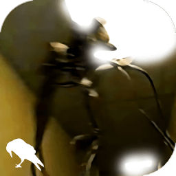 《艾尔登法环》 大树护卫 法师逃课打法